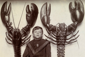 Penampakan Raksasa, Lobsters-Amerika
